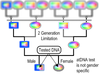 Autosomal_Testing_Limit